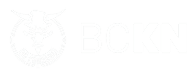BC Komárno logo